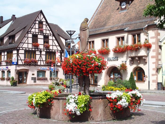 La fontaine fleurie et la mairie de Châtenois