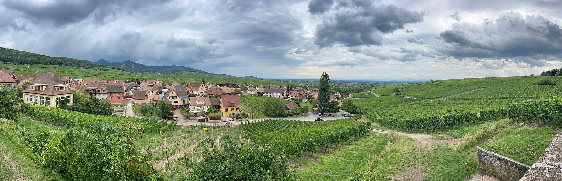 Hunawihr entouré de vignobles sur la Route des Vins d’Alsace